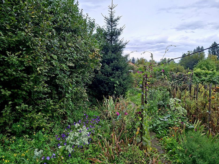 Продаётся дача в районе аэропорта