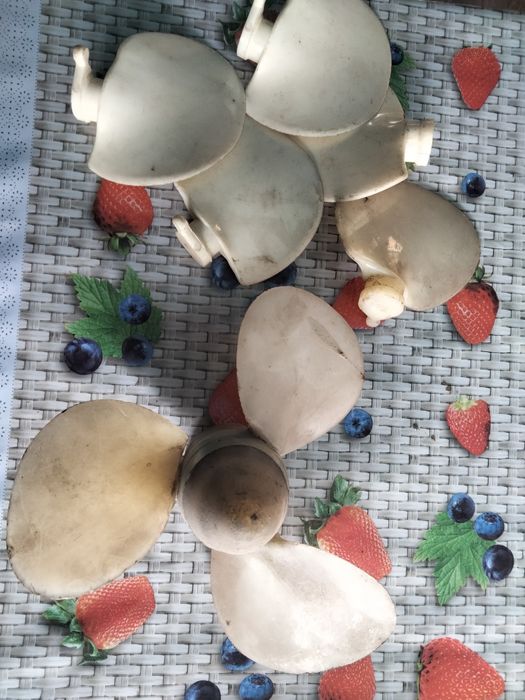 Винты для лодочного мотора