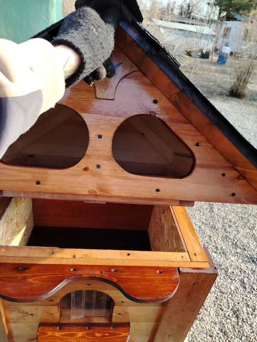 Двухэтажный Котодом.