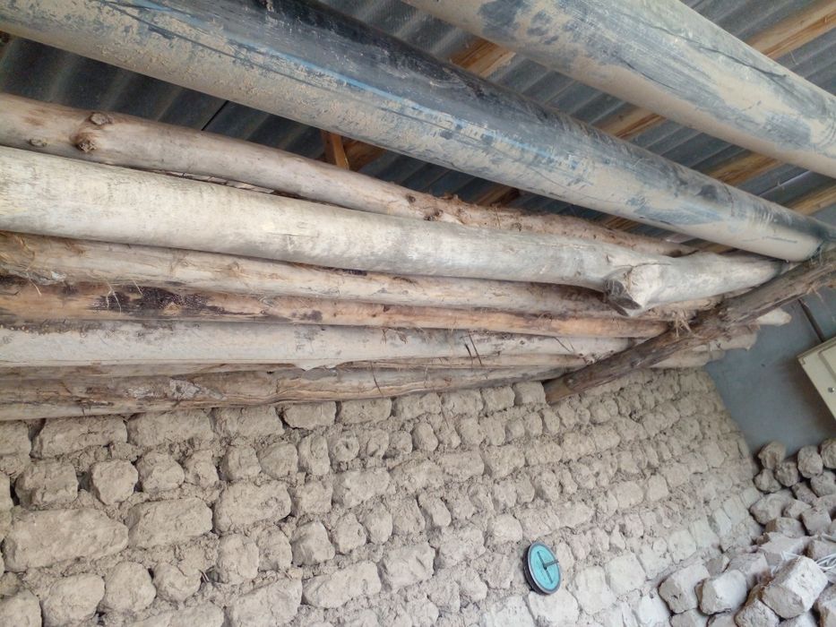 Хаммаси сотилади. Манзил Жиззах вилояти Зомин туман