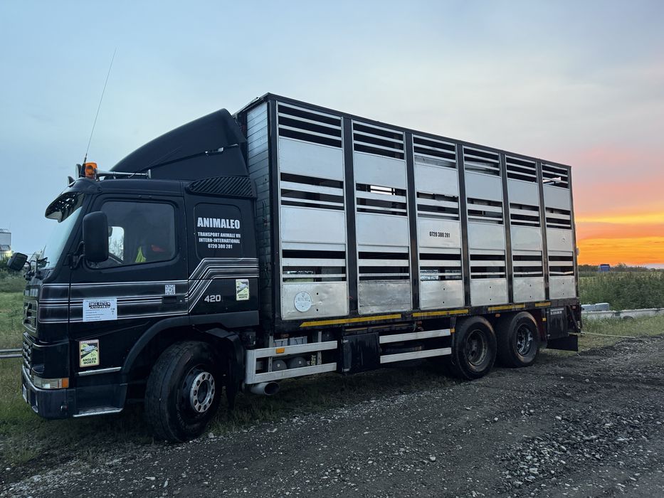 Volvo FM12 animale vii