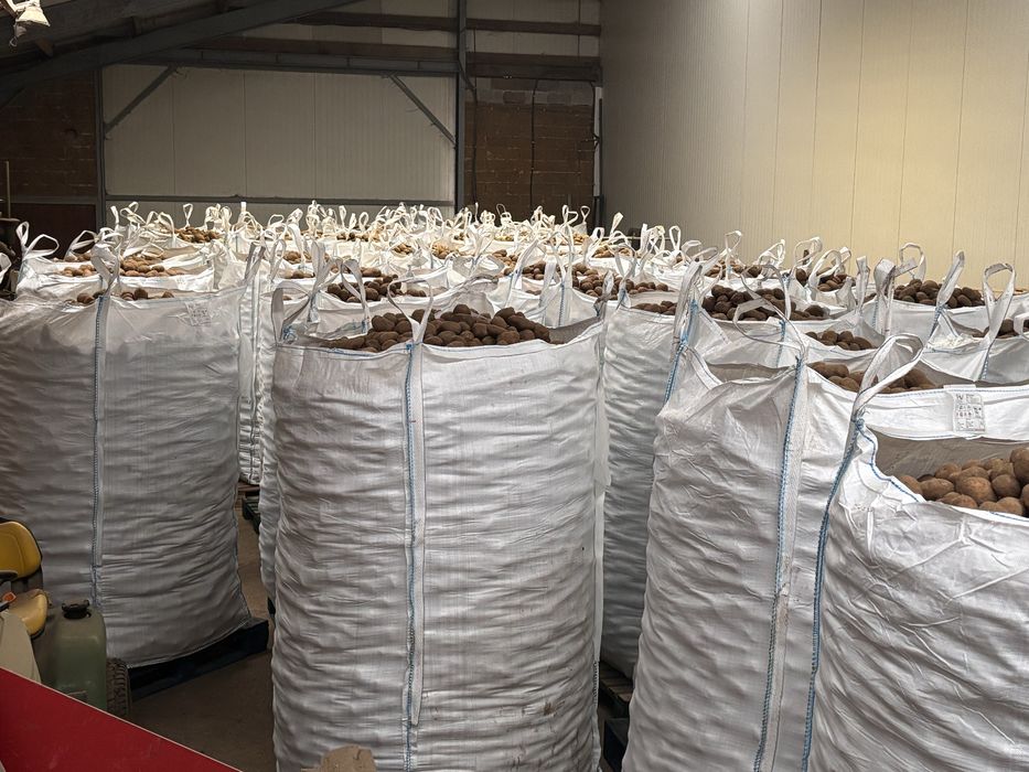 Cartofi Premim import Franta | Belgia | Olanda si Germania