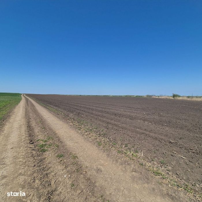 GRADISTEA - Sat Sitaru, teren agricol 11.961mp, ideal investitie
