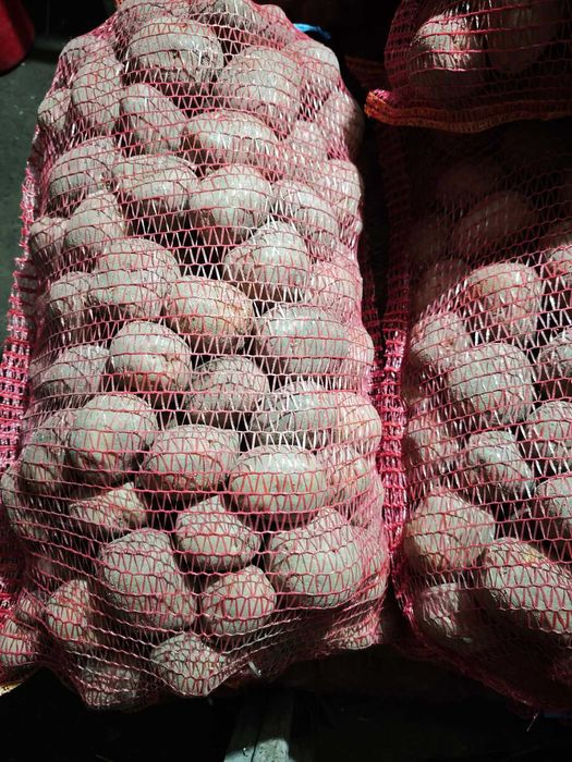 Cartofi consum Bellarosa