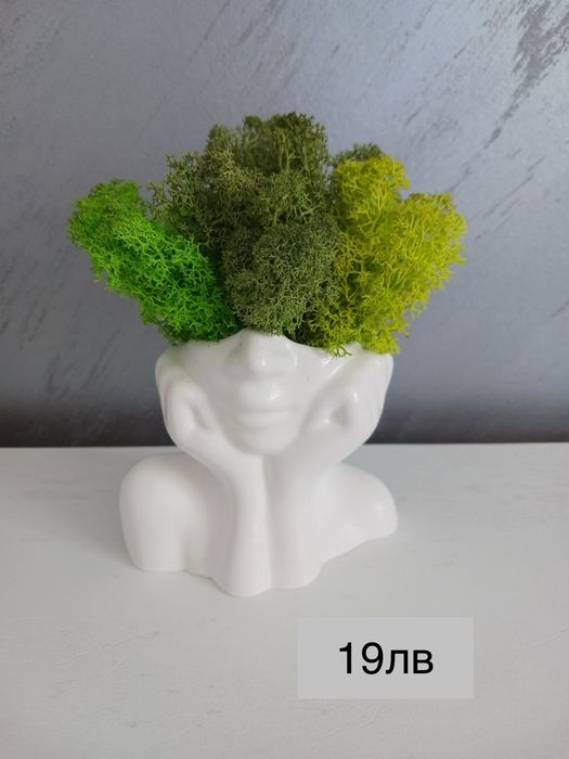 Кашпи със скандинавски мъх – тип „Лице“