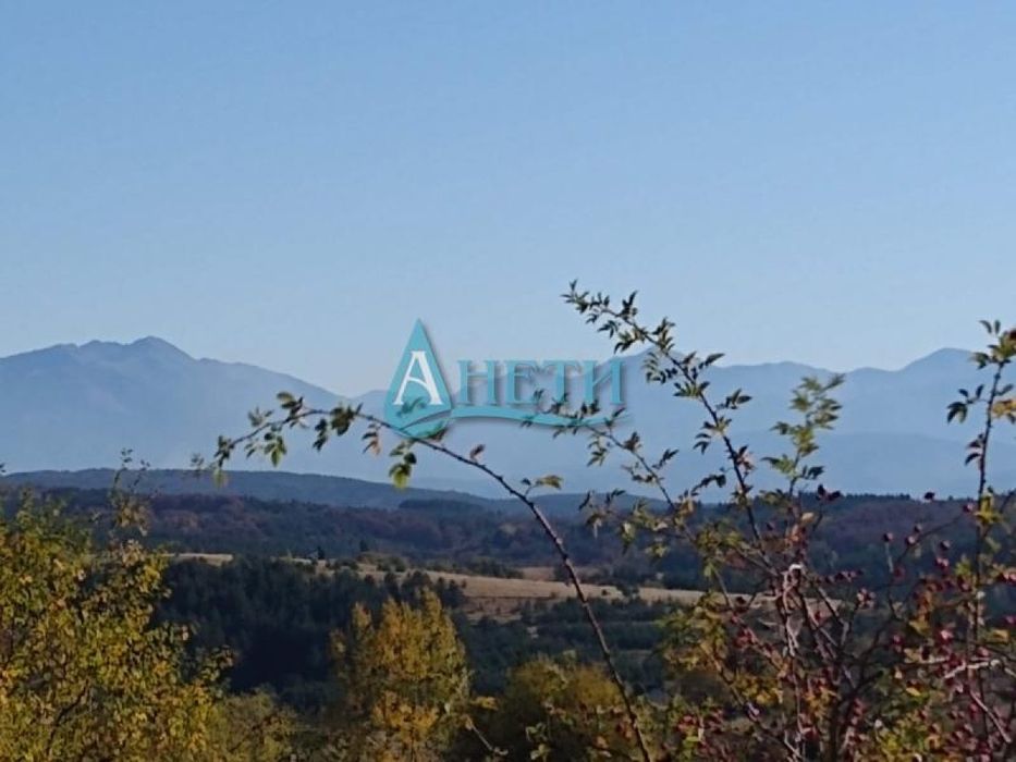 Продава се Парцел в с. Плана, Област София-град - 12500 кв.м за 39 €/кв.м - Снимка #2