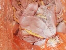 Шек (кишка) конина