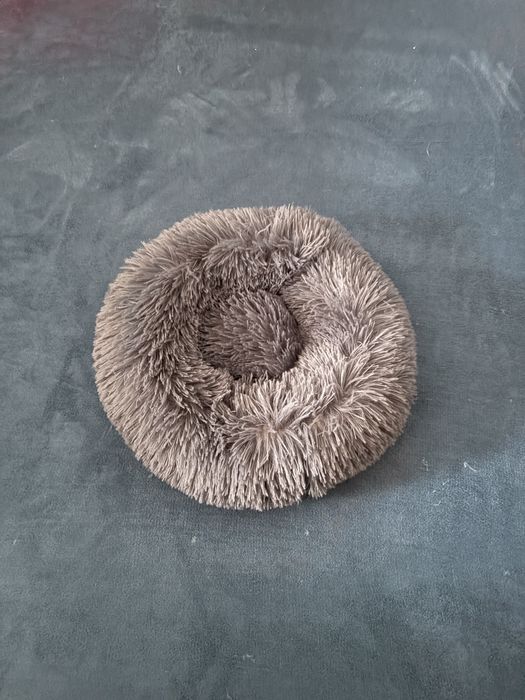 Vand salteluta pisici sau catei de talie mica gri inchus