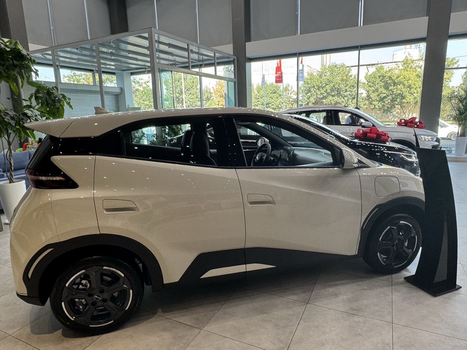 BYD SEAGULL 405 km Flying full