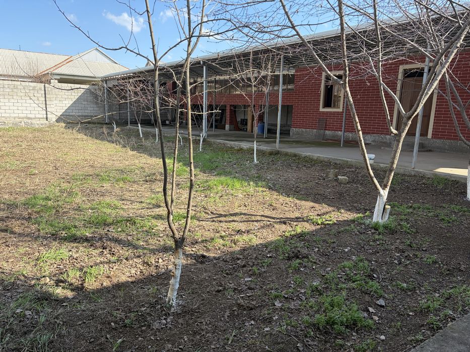 Sirdaryo shahar Shirin MFY da uy sotiladi