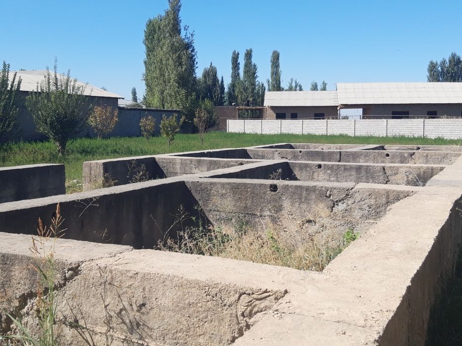 Участок 16 соток