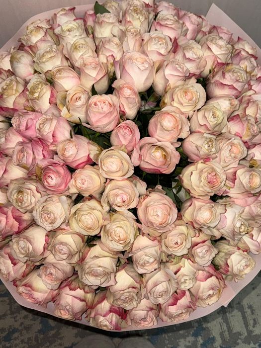 Падается 101 роз