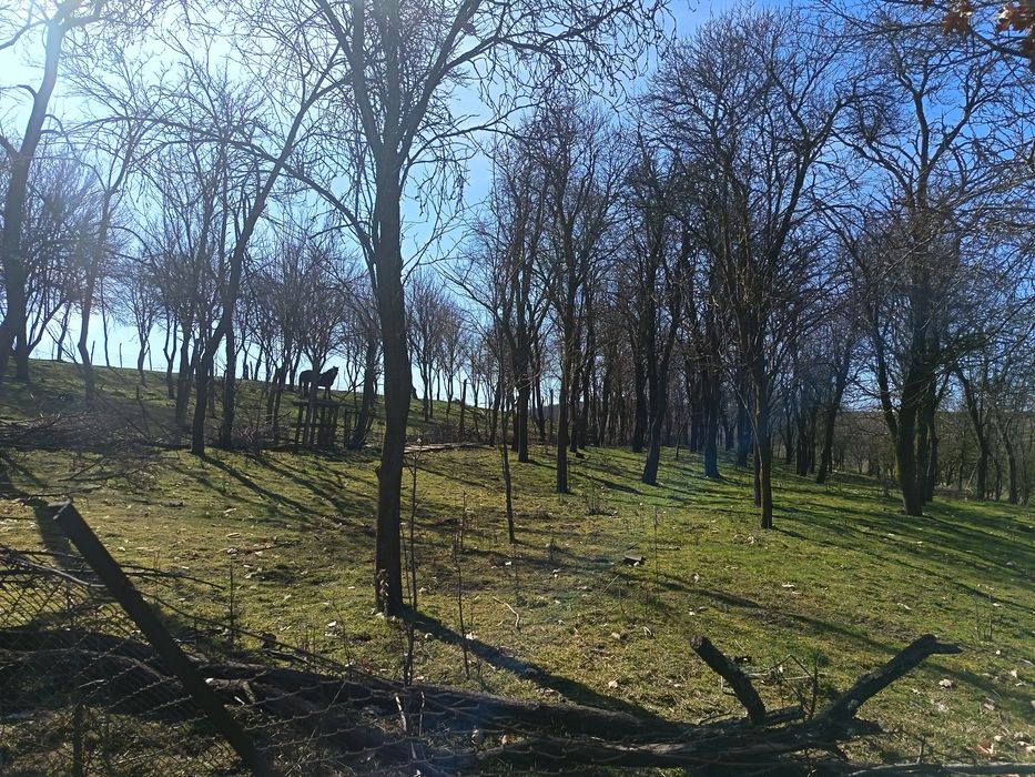 Casa și teren de vanzare