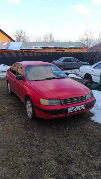 Таета карина е 1993