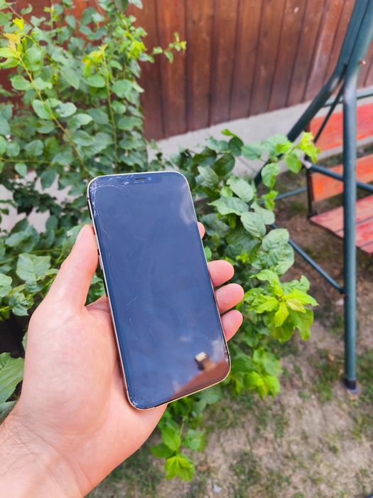 iPhone 12 pro max