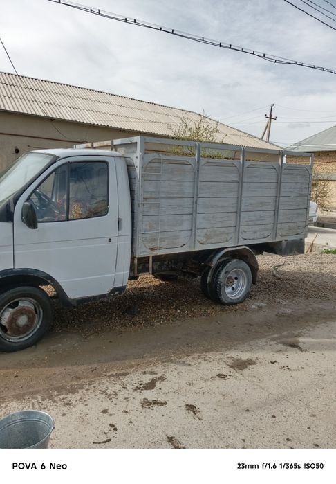 Gazel seriy holati yacshi