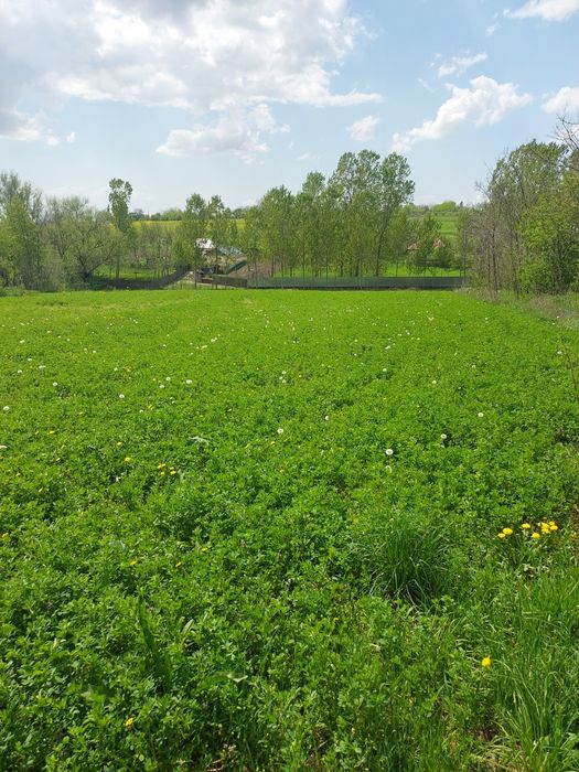 vand teren casă ,investiție în mediul rural