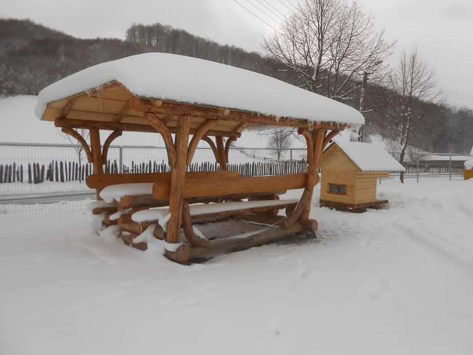 Foișor rustic , masă lemn masiv , cușcă câine.