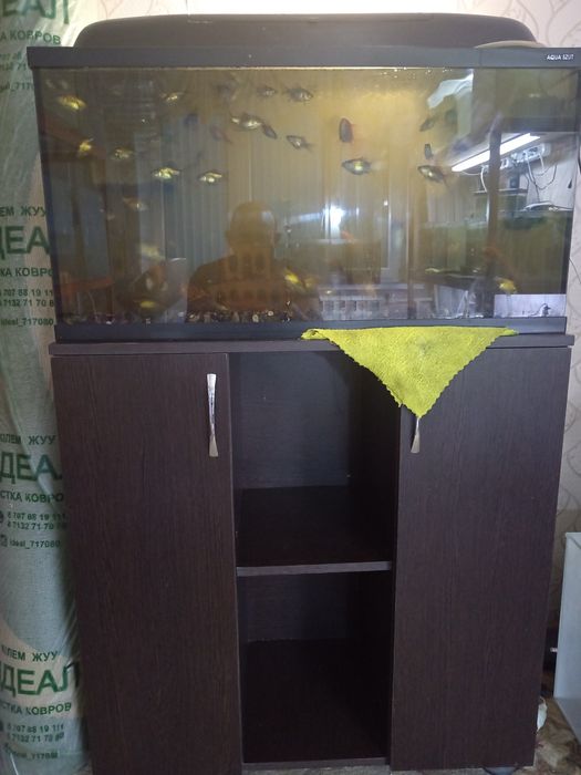 Продам аквариум с тумбой