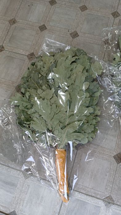 Дубовые веники срочно