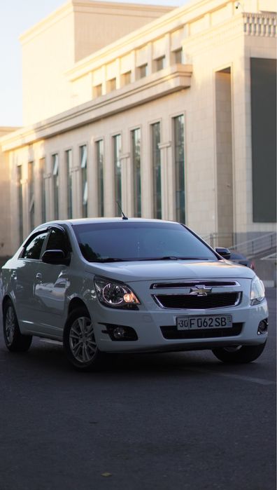 Cobalt ideal polniy navarot