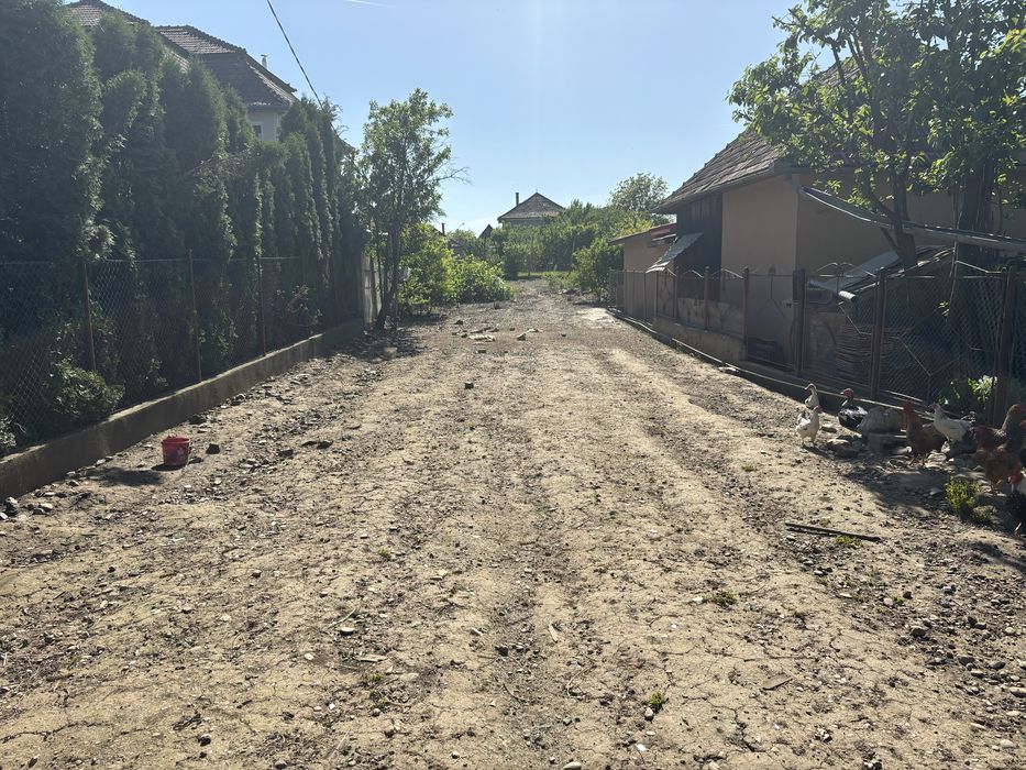 Vand teren in campia turzii