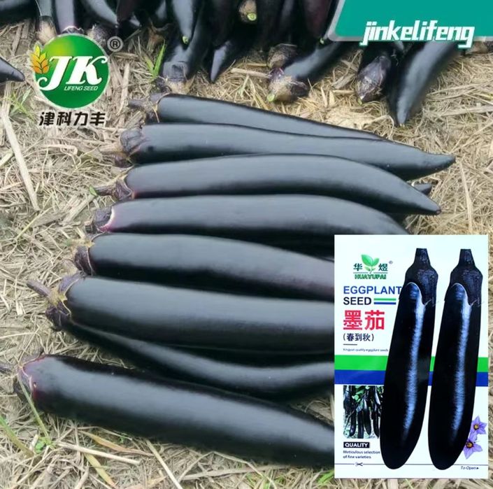 Baqlajon urugi pochkali