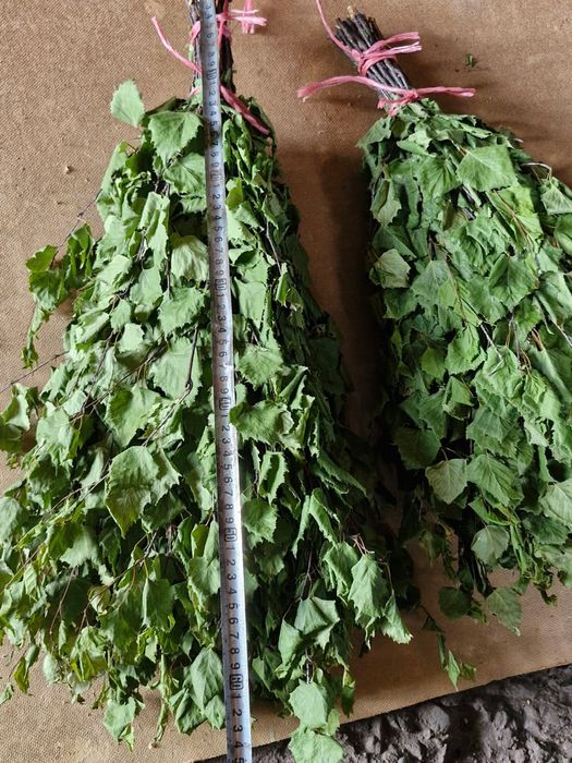 Продам берёзовые веники