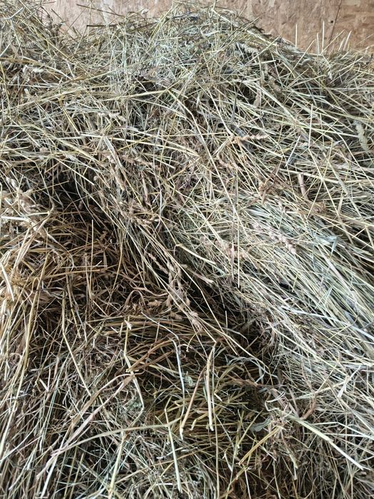 Baloți rotunzi fân 150x120