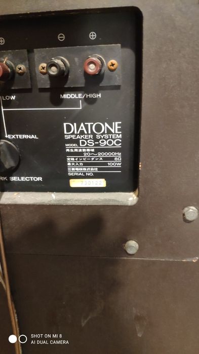 Акустика Diatone DS-90C