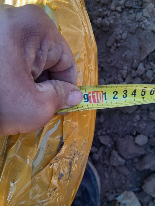 Пересадка посадка профессиональная