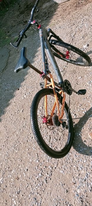 Halik өте жақсы жағдайда