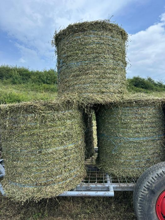 Baloți de lucernă