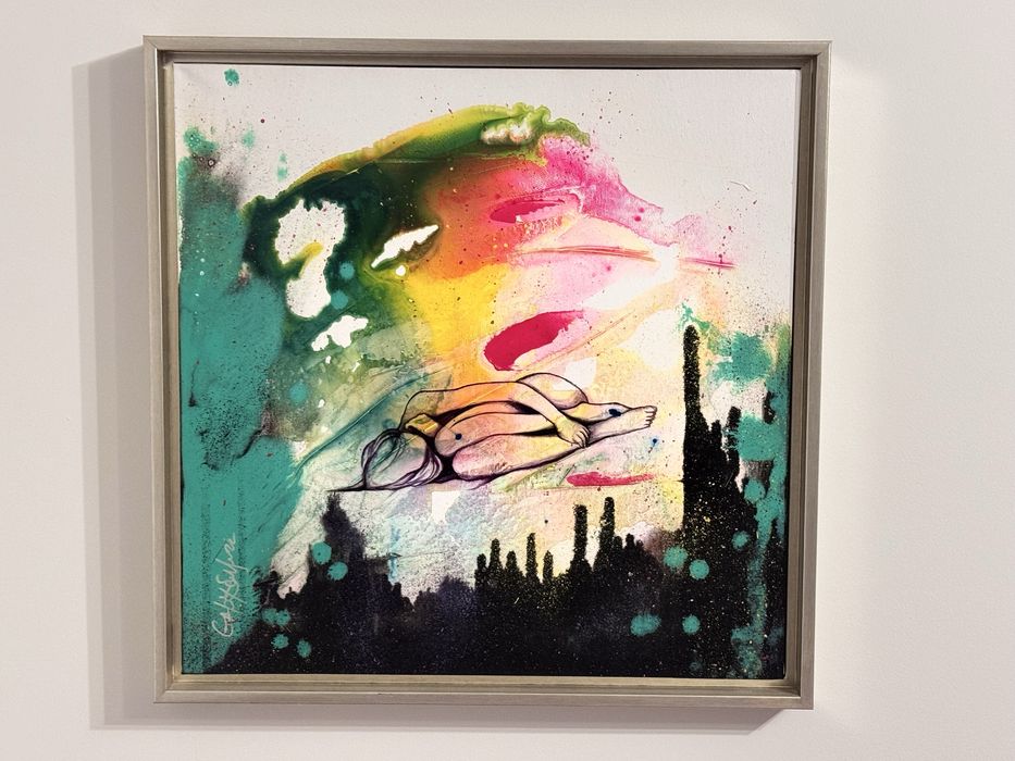 Авторски картини