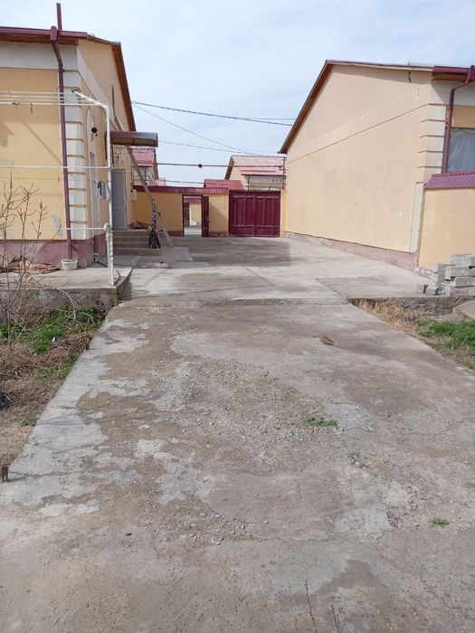 Katej srochno sotiladi