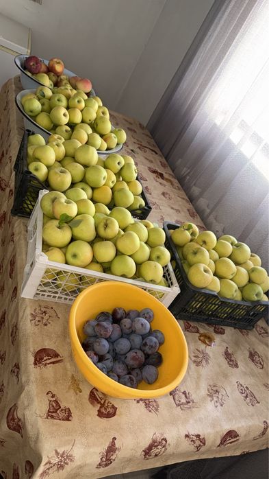 Продаю домашние яблоки