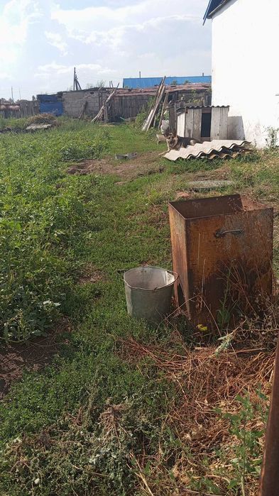 Продам восточно европейскую овчарку