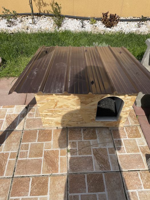 Cusca pentru caine, talie mica