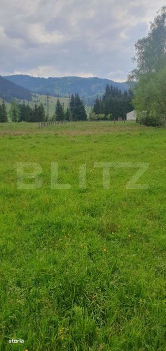 Teren intravilan, 8095 mp, zona Saru Dornei - Vatra Dornei