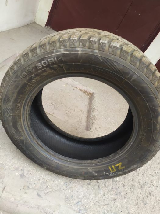 Шины с шипами MAXXIS NP5 185/60/14