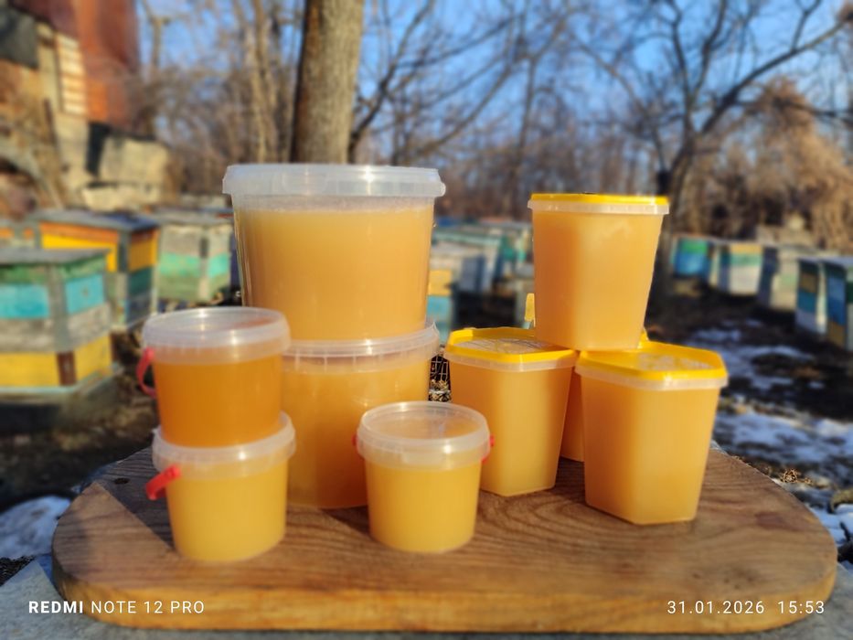 Перга Мед горное разнотравье