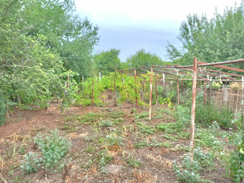 Продава се Парцел в Добрич, Христо Ботев - 868 кв.м за 8 €/кв.м - Снимка #4