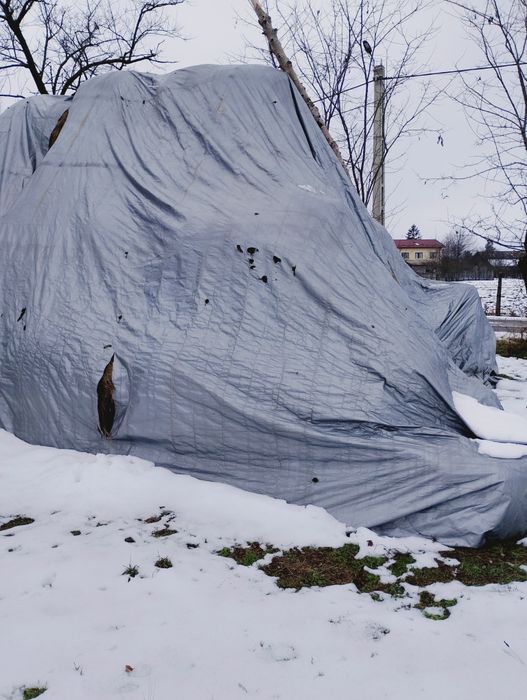 Vând baloți fan rotunzi