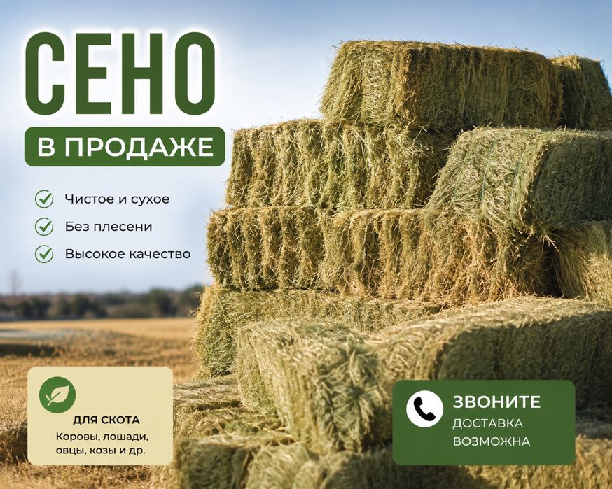 Сено рулон 12.000