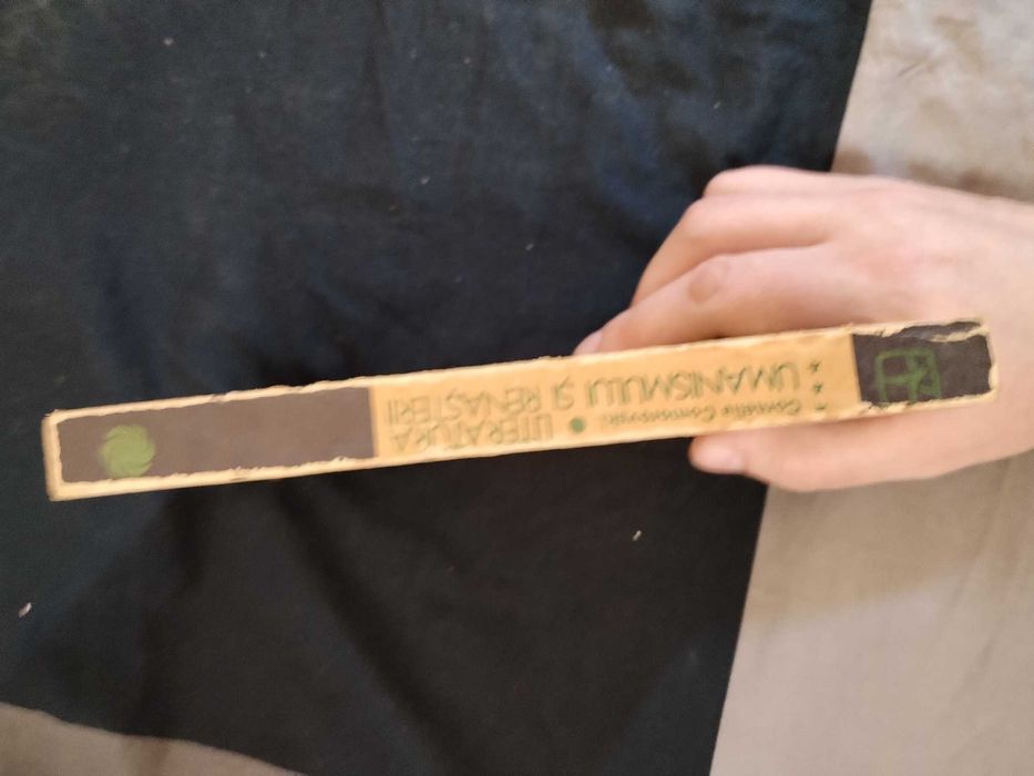 Literatura Umanismului si Renasterii 3