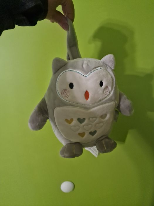 Бугалче Оли голям размер