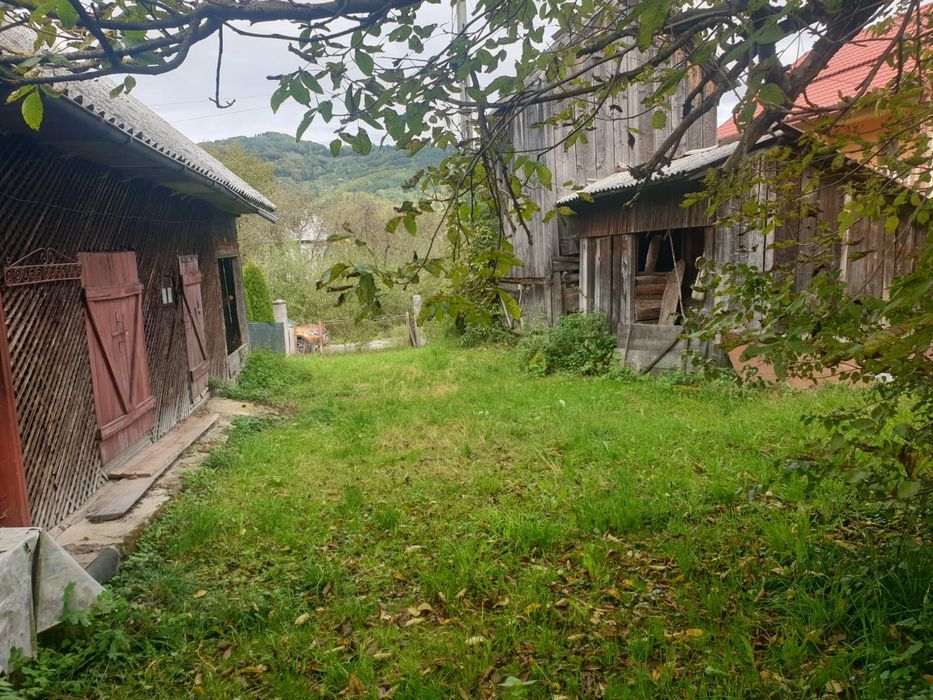 Vand teren si casa veche in viseu de jos
