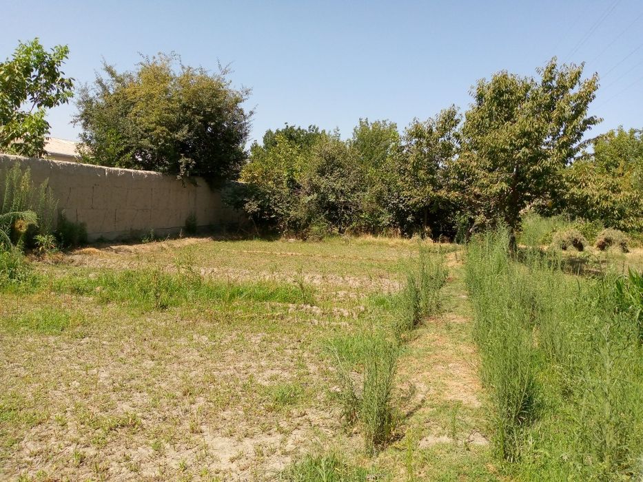 Чархинда 15 сот. 2хон.ховли