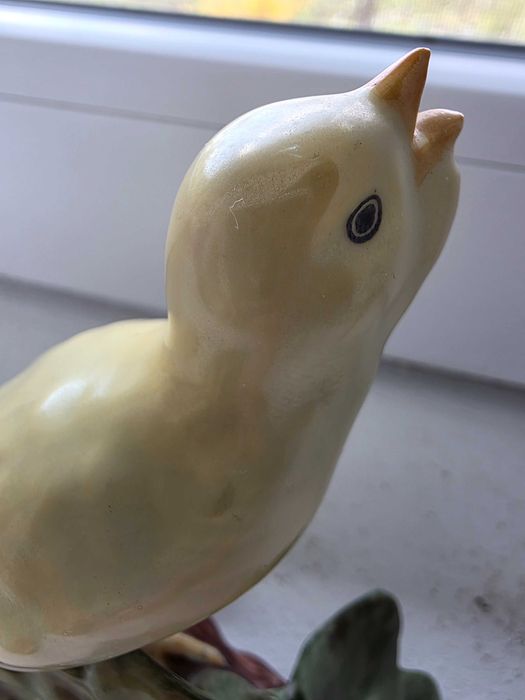 Bibelou Extra Iris Canar cantand