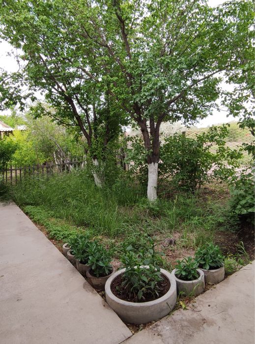 Продажа или обмен дачи на ПМК-29